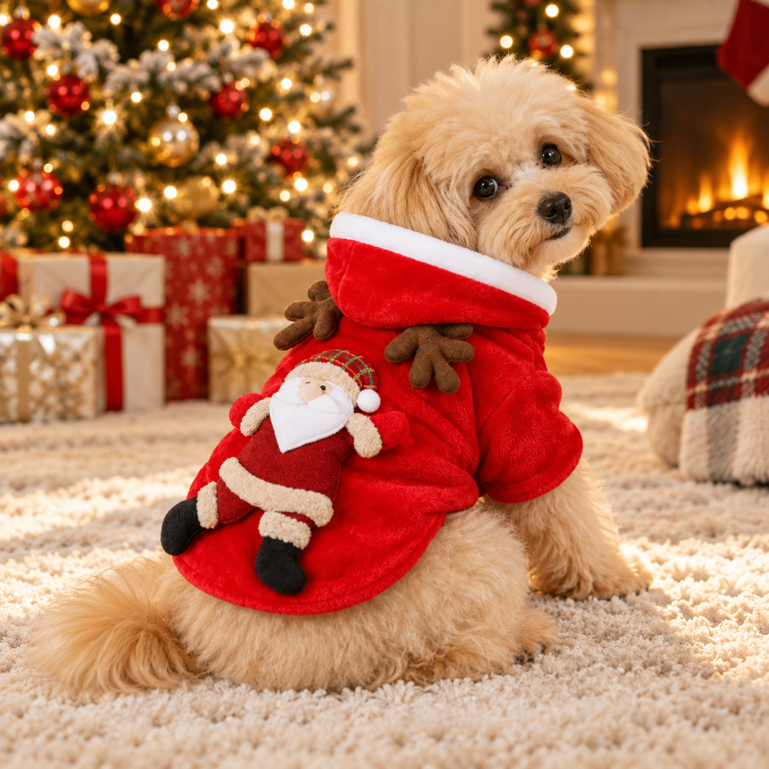 Cozy Christmas Pet Hoodie