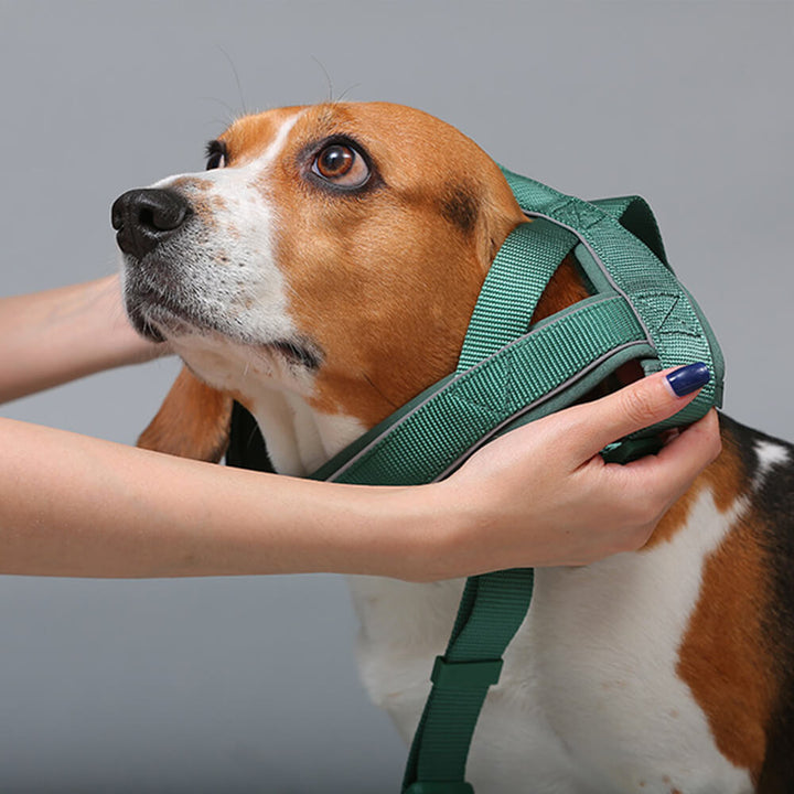 Nylon Adjustable Reflective No-Pull Dog Harness Collar and Leash