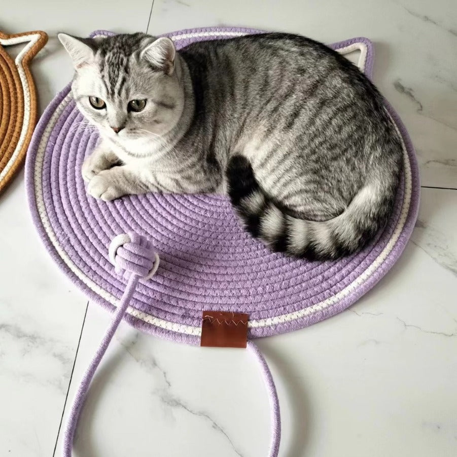 Cat Scratching Toy Carpet