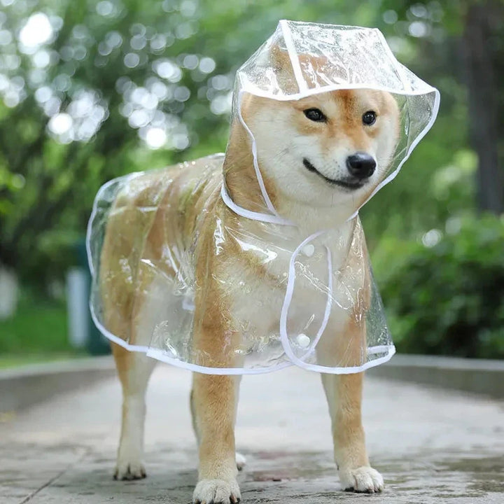 Clear Waterproof Raincoat