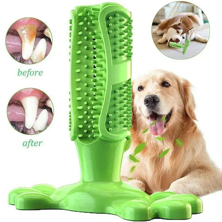 Cactus Dog Chew Toy | Rubber Treat Dispenser | Dental Toothbrush Toy for All Dogs
