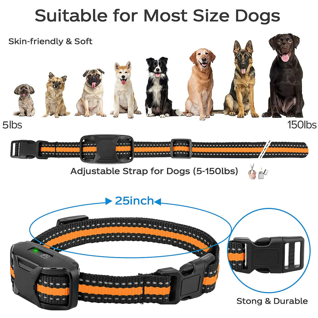 Waterproof Dog Training Collar | Remote Control 300m | Vibration & Sound | Rechargeable | Adjustable for All Breeds
