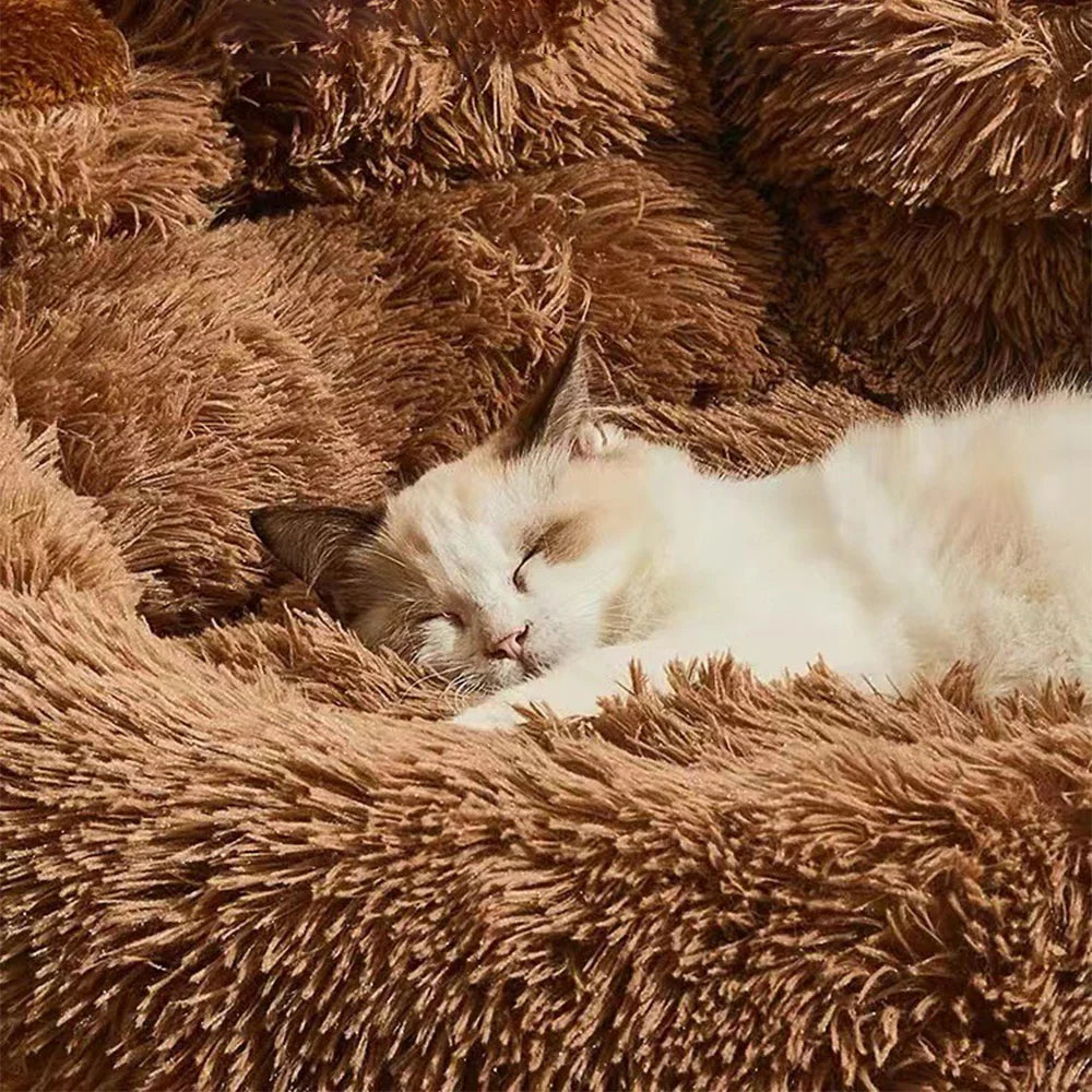 CloudNest Plush Dog & Cat Sofa Bed