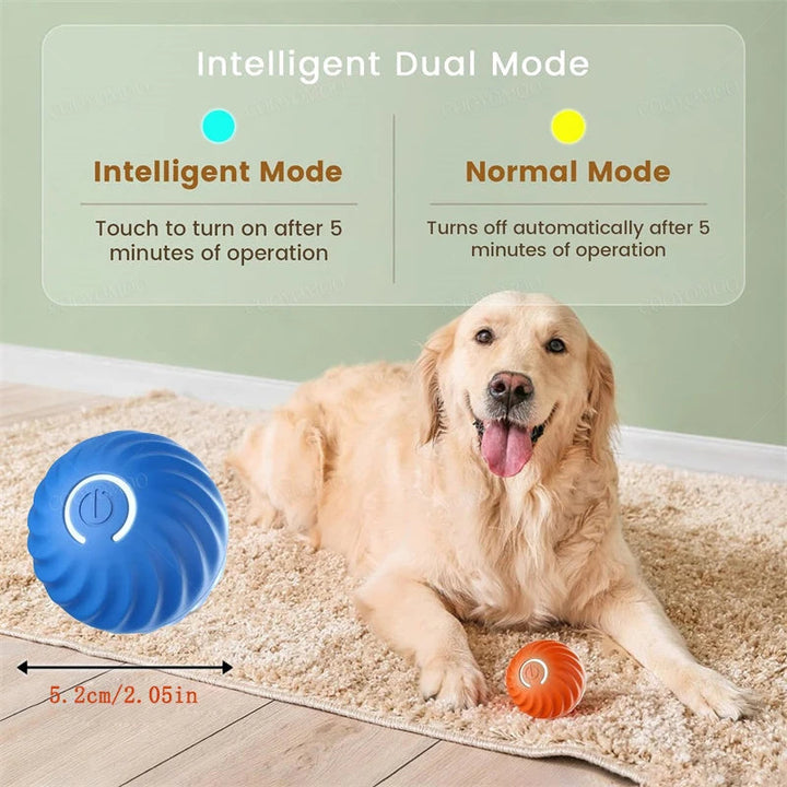 Interactive Smart Dog Ball | Automatic Rechargeable Toy | Interactive Training & Play Toy