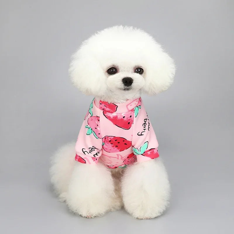 CozyPaw Mini Winter Jumper