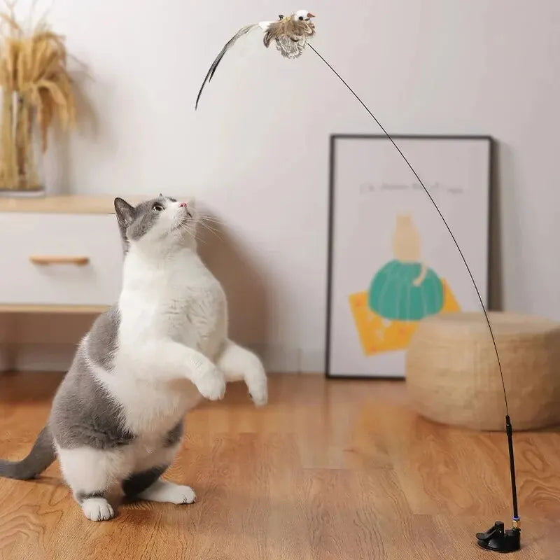 FeatherFrenzy Cat Toy
