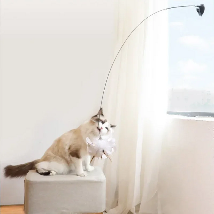 FeatherFrenzy Cat Toy