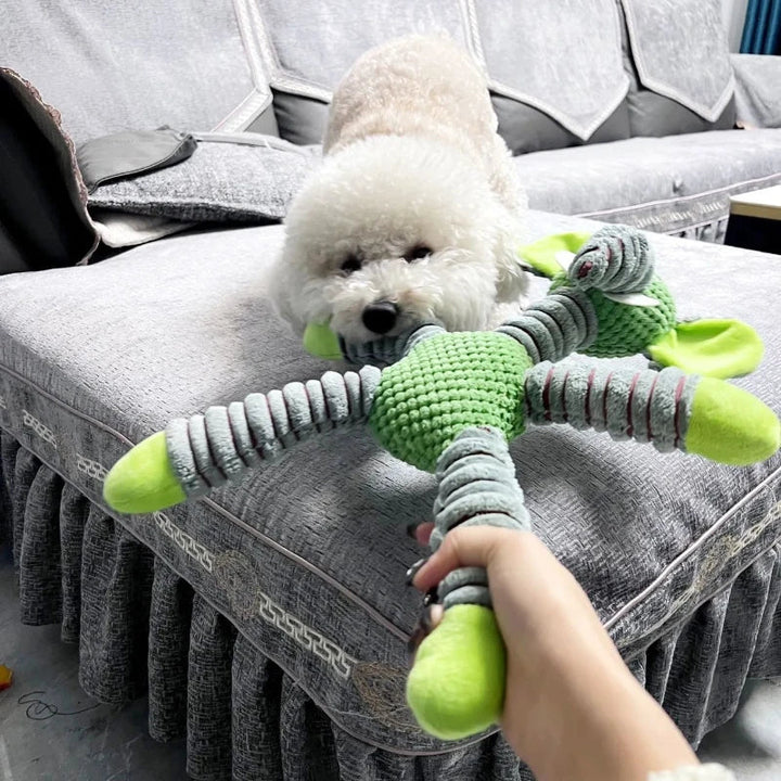 ToughTug Squeaky Plush Molar Toy