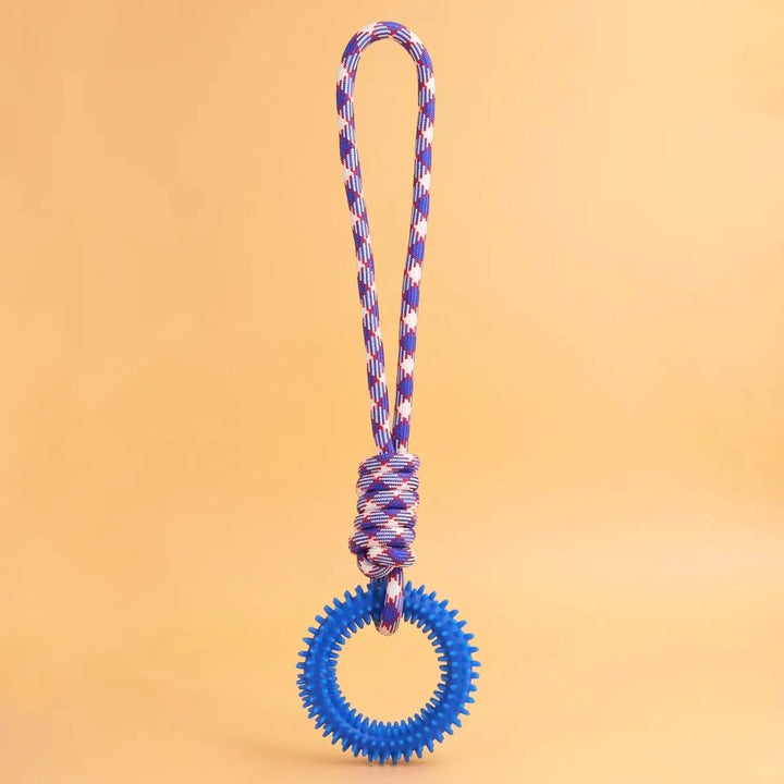 Dental Care Ring