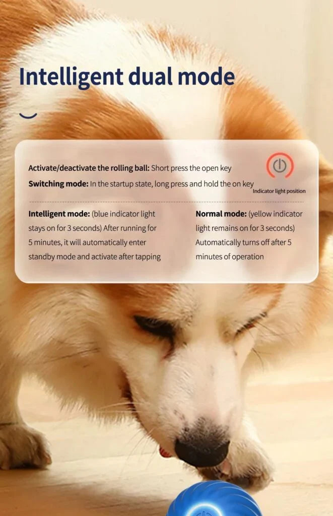 Interactive Smart Dog Ball | Automatic Rechargeable Toy | Interactive Training & Play Toy