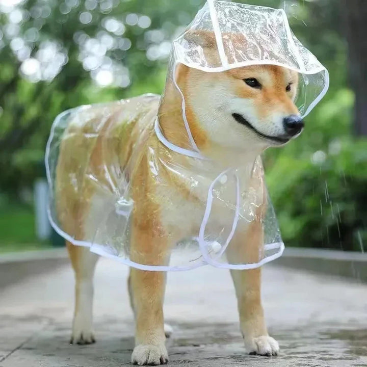 Clear Waterproof Raincoat