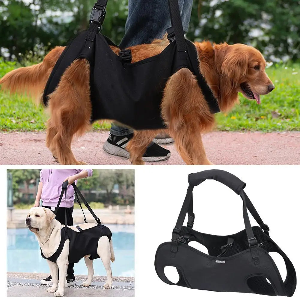 LiftEase Mobility Sling
