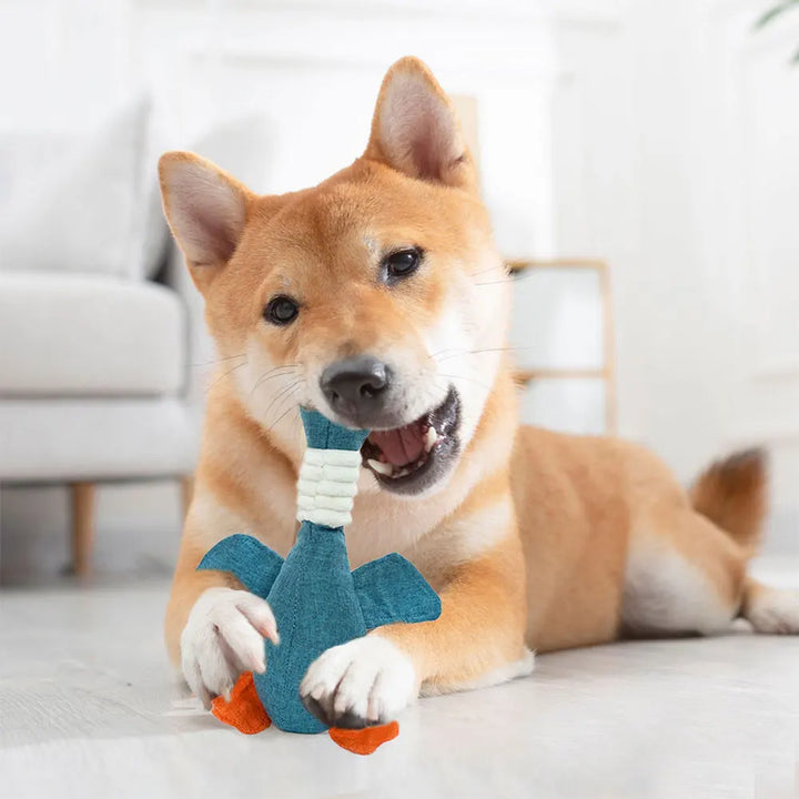 QuackBuddy Squeaky Dog Toy