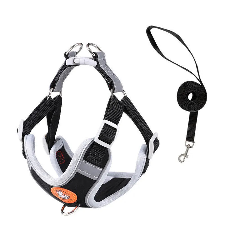 AeroStride Soft-Flex Harness & Leash Set