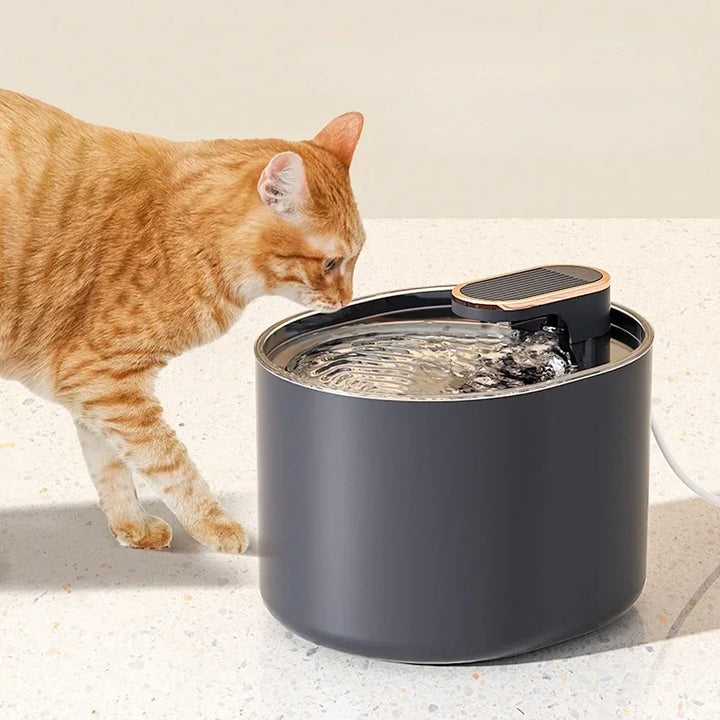 Automatic Pet Water Fountain | Filtered Circulating System | Quiet Drinking Dispenser for Cats & Dogs