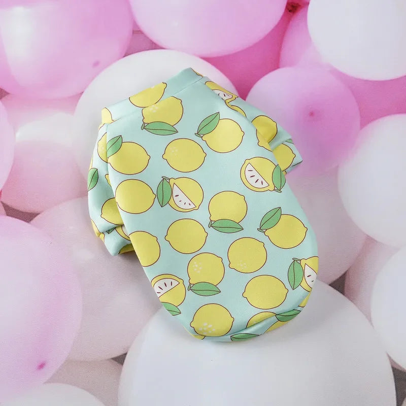 CozyPaw Mini Winter Jumper