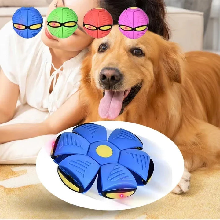 AeroPaw 2-in-1 Ball & Frisbee