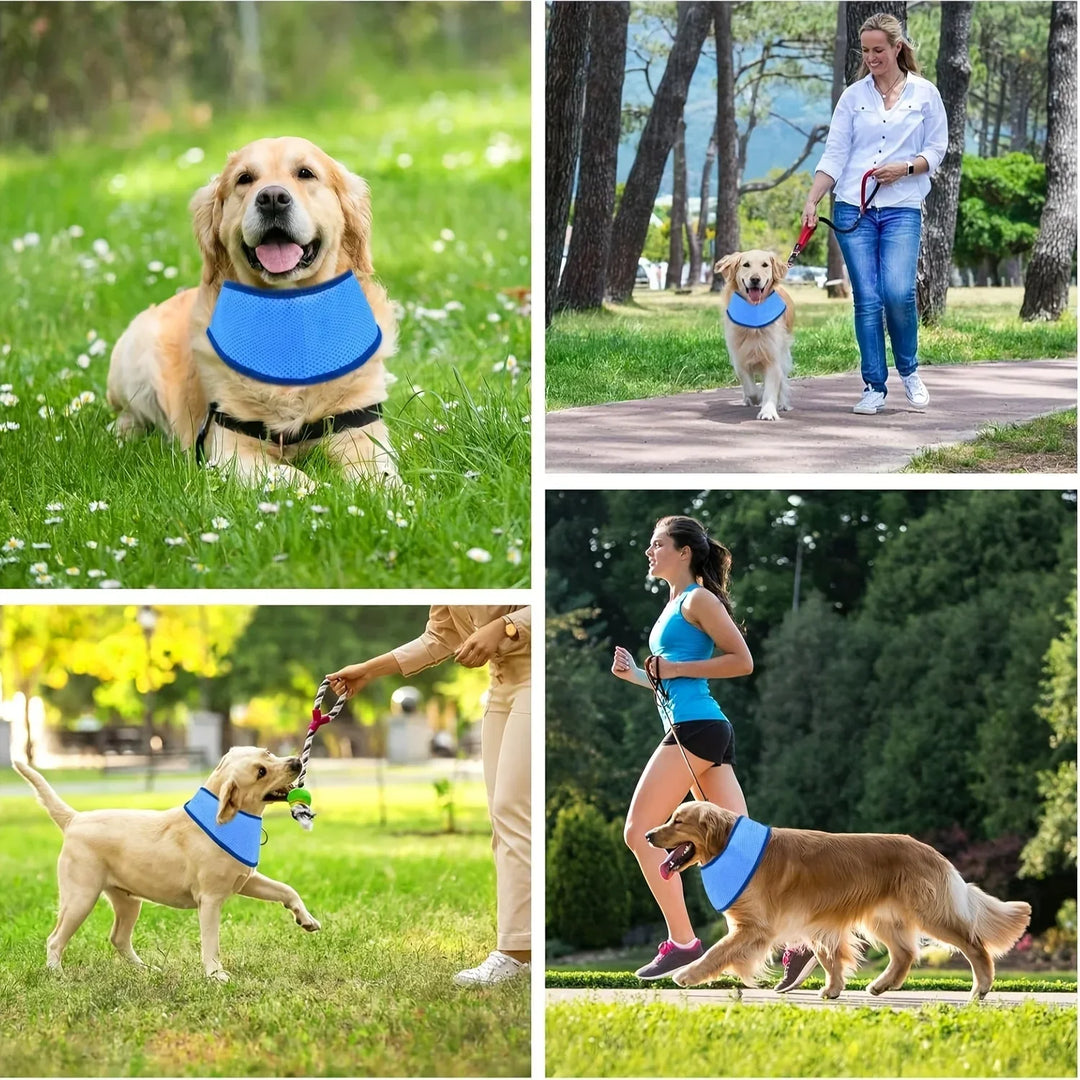 ChillGuard Cooling Pet Collar