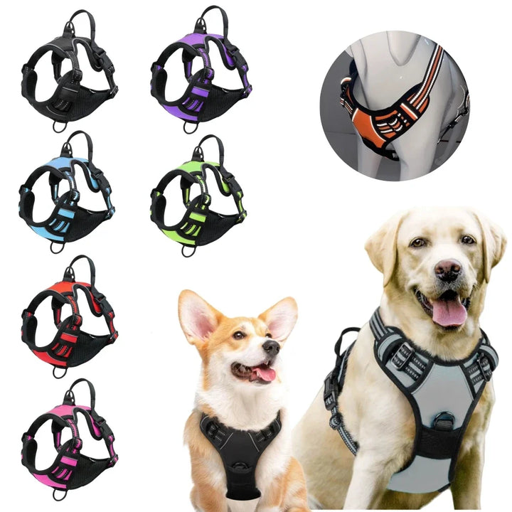 AeroStride Heavy-Duty No-Pull Harness