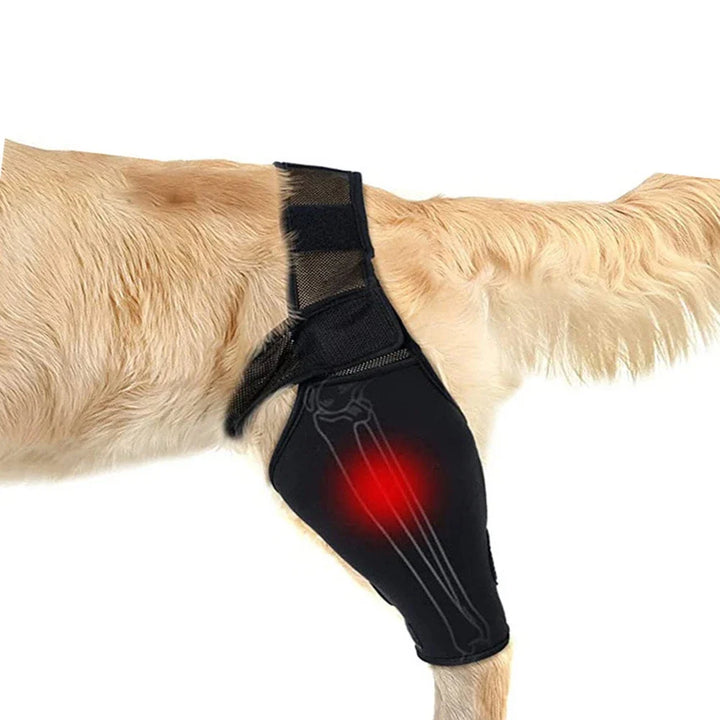 HipGuard Universal Dog Joint Support Harness