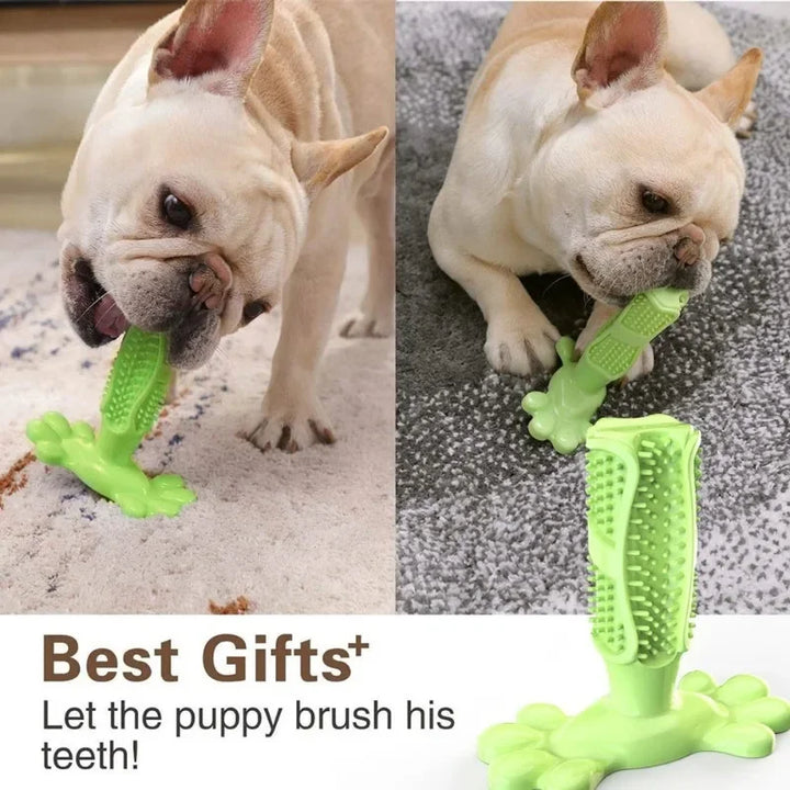 Cactus Dog Chew Toy | Rubber Treat Dispenser | Dental Toothbrush Toy for All Dogs