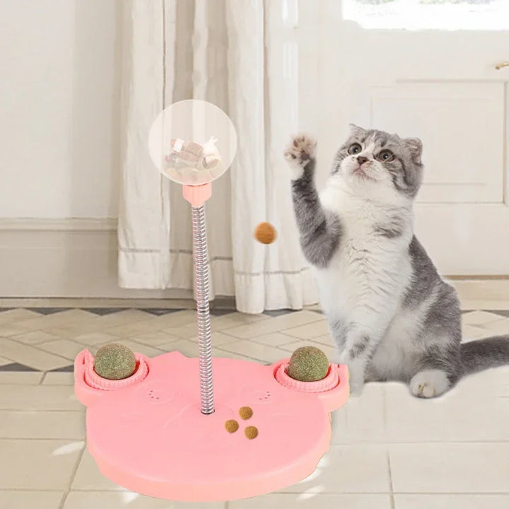 TreatTrail Interactive Puzzle Food & Leaking Ball Toy