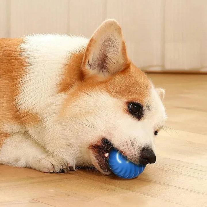 Interactive Smart Dog Ball | Automatic Rechargeable Toy | Interactive Training & Play Toy