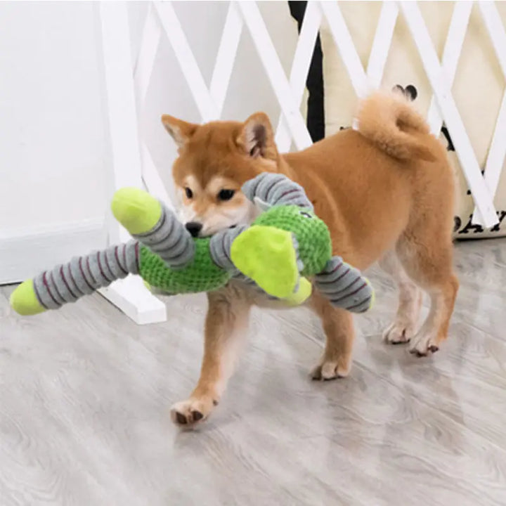 ToughTug Squeaky Plush Molar Toy