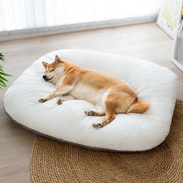DreamCuddle Large Plush Dog & Cat Bed