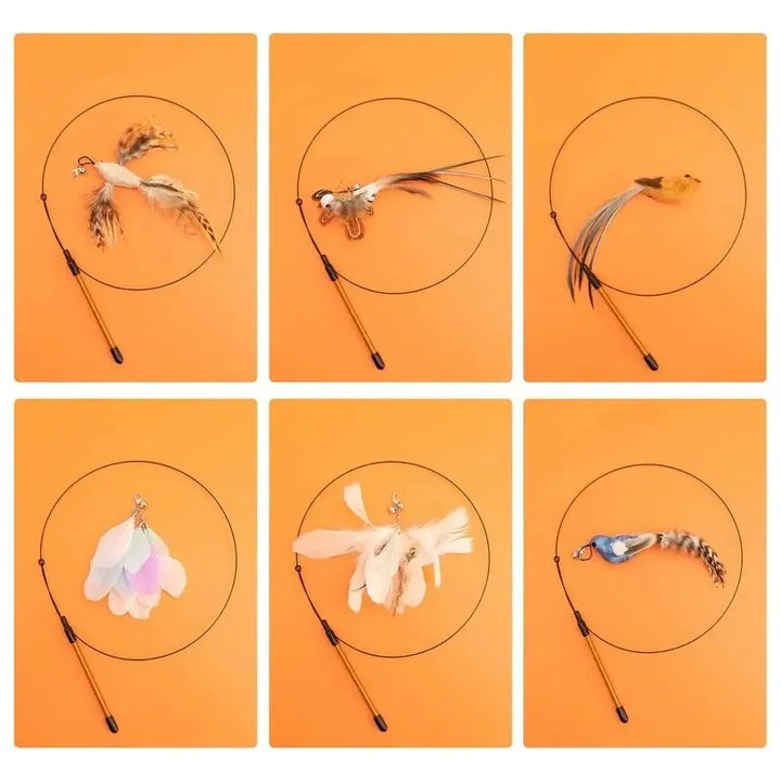 FeatherFrenzy Cat Toy