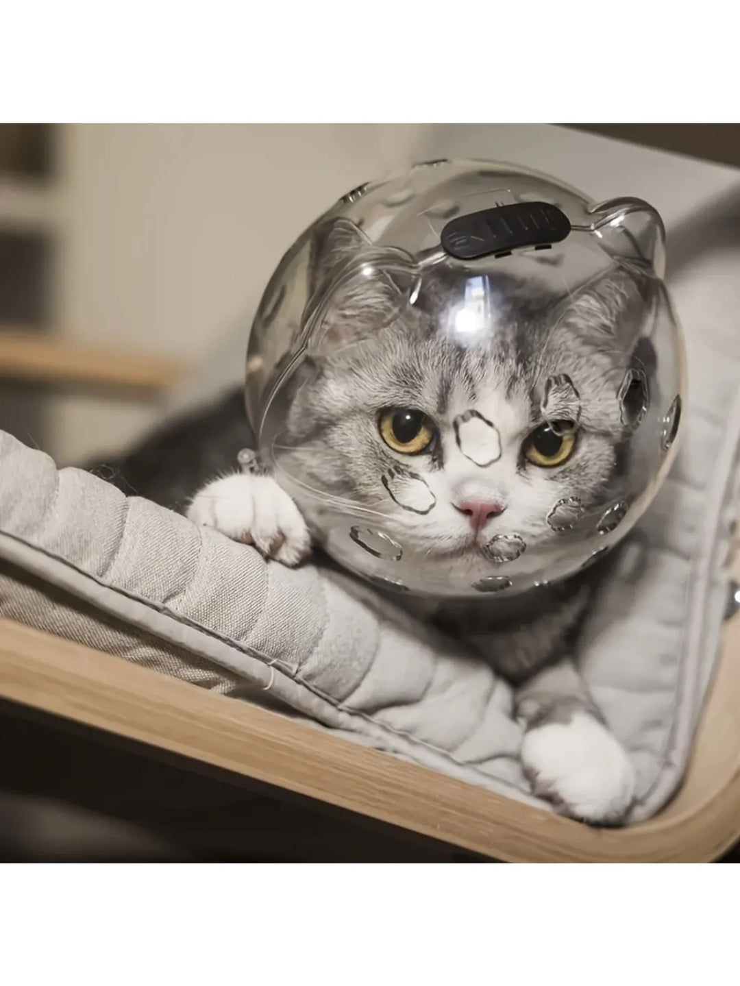 BreatheSafe Cat Comfort Mask