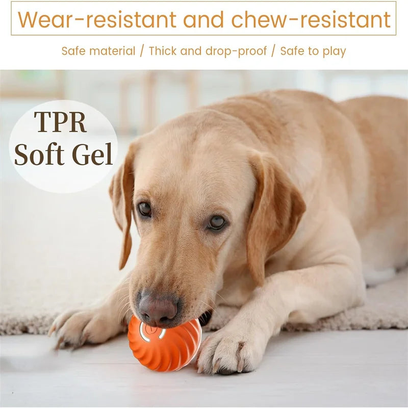 Interactive Smart Dog Ball | Automatic Rechargeable Toy | Interactive Training & Play Toy