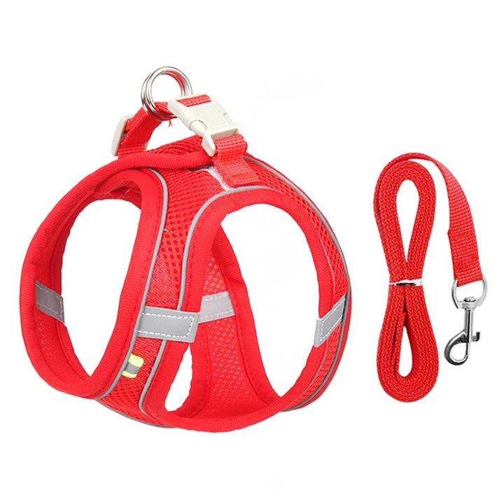 Dog Harness & Lead Set | Adjustable Fit | Breathable Vest | Reflective Outdoor Walking Set