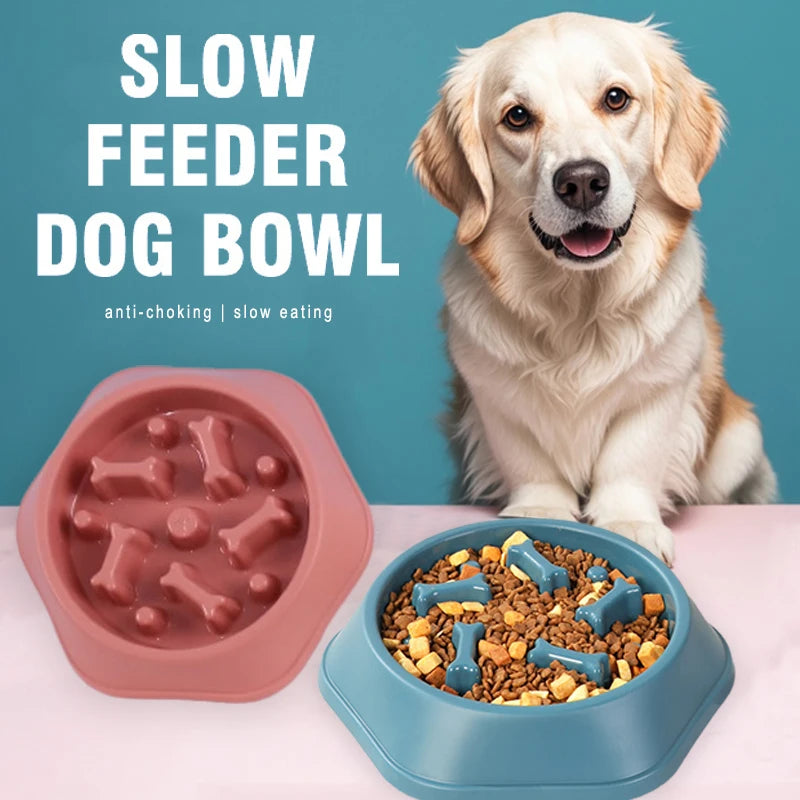Slow Feeder Dog Bowl | Anti Choking Design | Non Slip Base | Easy Clean PP Food Dish