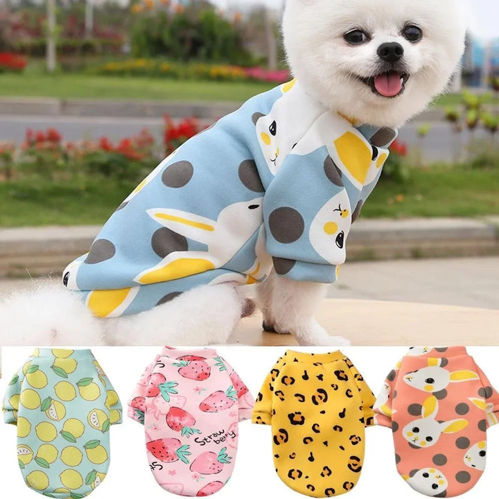 CozyPaw Mini Winter Jumper