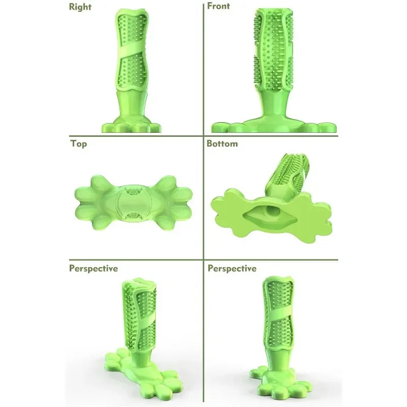 Cactus Dog Chew Toy | Rubber Treat Dispenser | Dental Toothbrush Toy for All Dogs