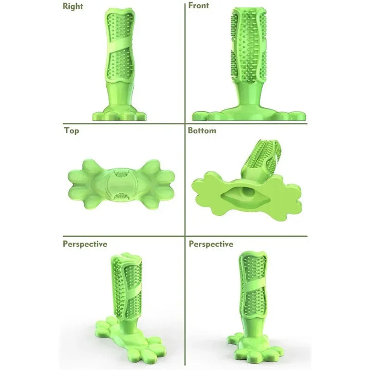 Cactus Dog Chew Toy | Rubber Treat Dispenser | Dental Toothbrush Toy for All Dogs