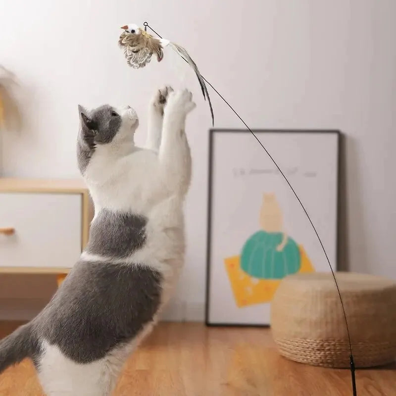 FeatherFrenzy Cat Toy