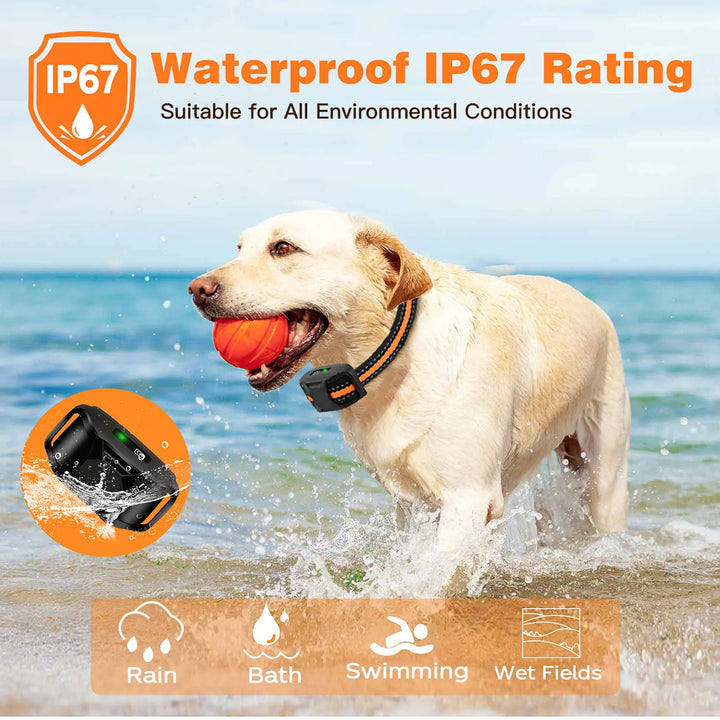 Waterproof Dog Training Collar | Remote Control 300m | Vibration & Sound | Rechargeable | Adjustable for All Breeds