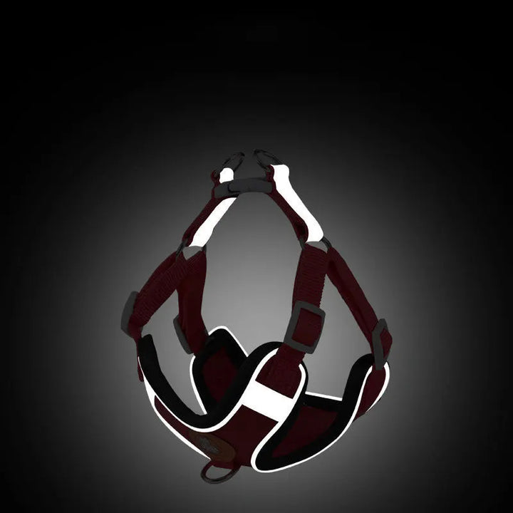 AeroStride Soft-Flex Harness & Leash Set