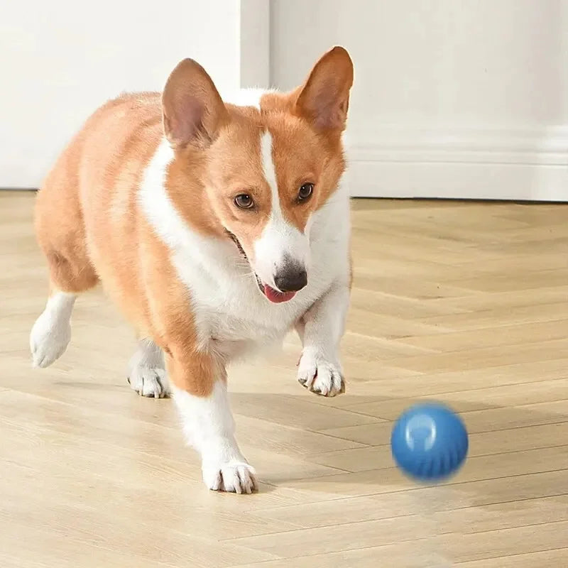 Interactive Smart Dog Ball | Automatic Rechargeable Toy | Interactive Training & Play Toy