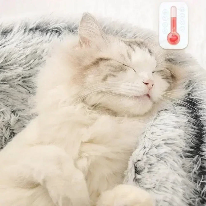 CozyCircle 2-in-1 Semi-Enclosed Round Cat & Pet Bed