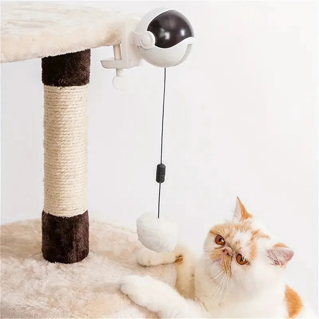 WhirlMotion Electric Cat Teasing Ball