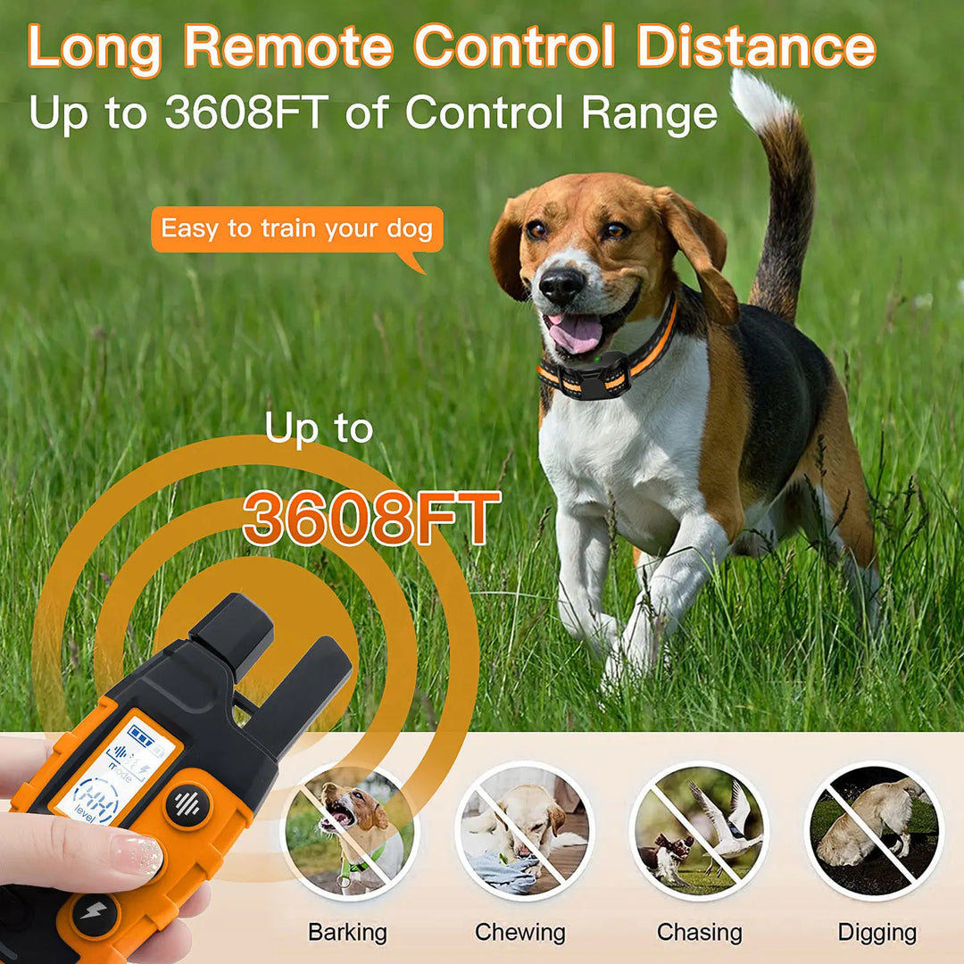 Waterproof Dog Training Collar | Remote Control 300m | Vibration & Sound | Rechargeable | Adjustable for All Breeds