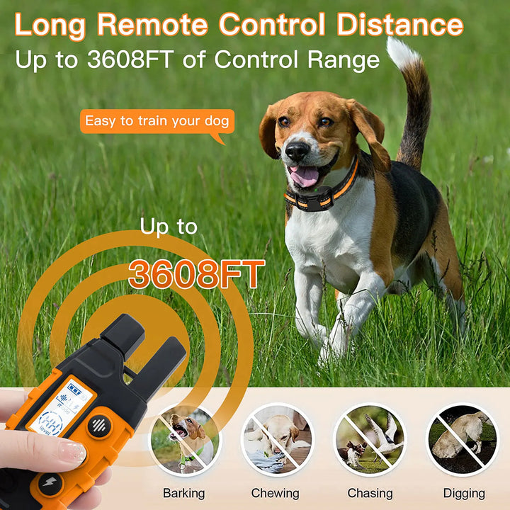 Waterproof Dog Training Collar | Remote Control 300m | Vibration & Sound | Rechargeable | Adjustable for All Breeds