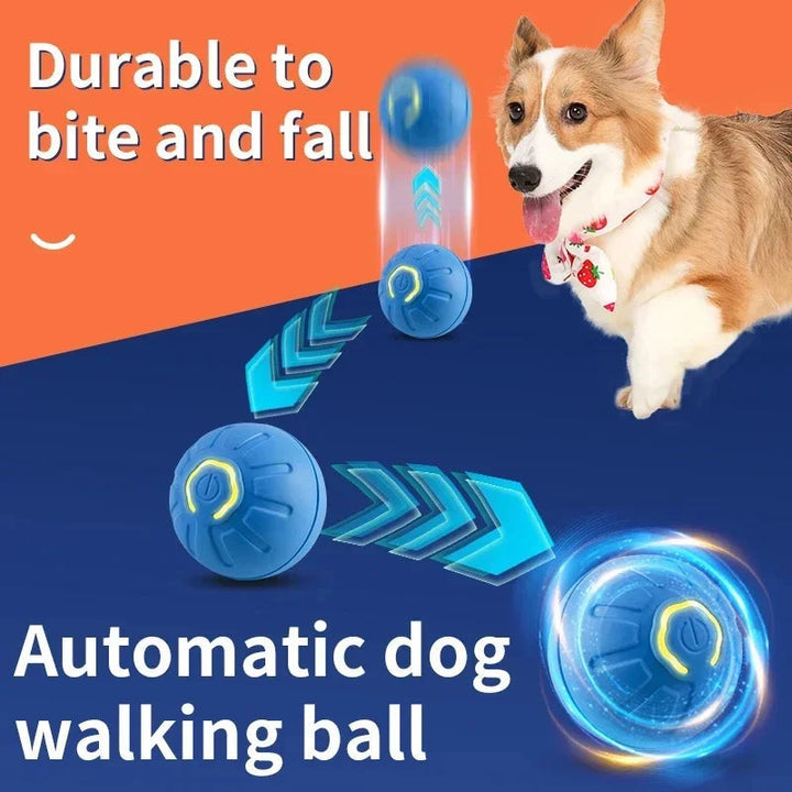 Interactive Smart Dog Ball | Automatic Rechargeable Toy | Interactive Training & Play Toy