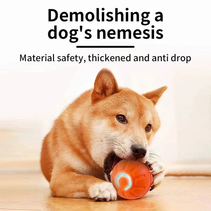 Interactive Smart Dog Ball | Automatic Rechargeable Toy | Interactive Training & Play Toy