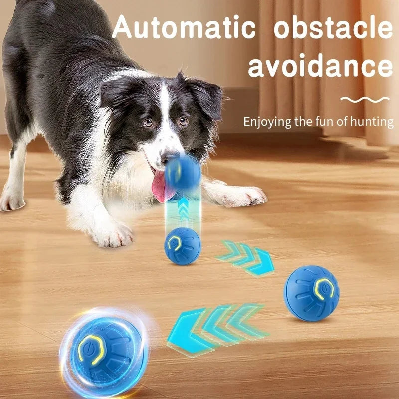 Interactive Smart Dog Ball | Automatic Rechargeable Toy | Interactive Training & Play Toy