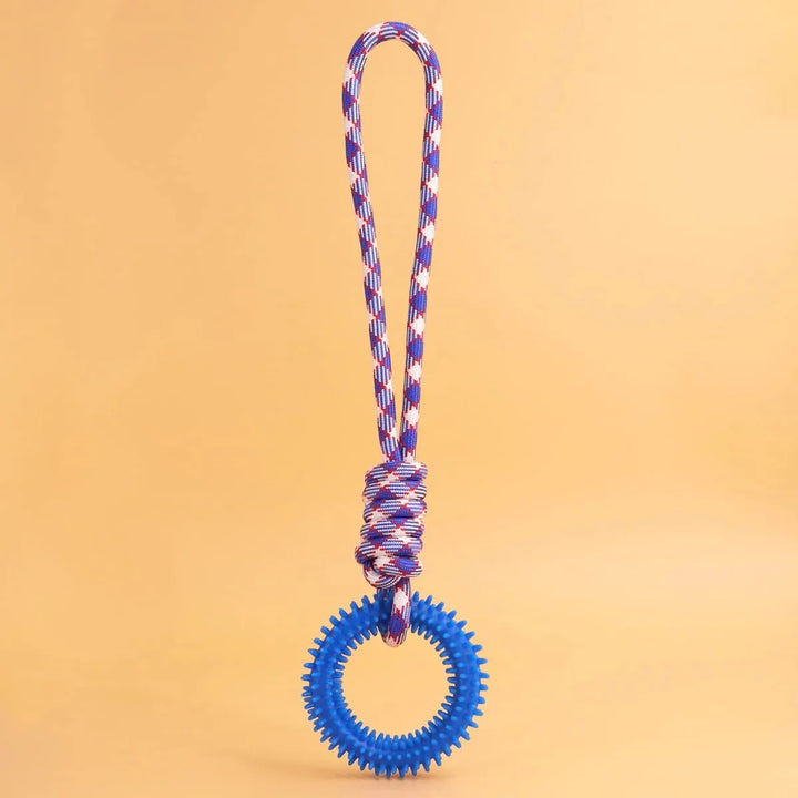 Dental Care Ring