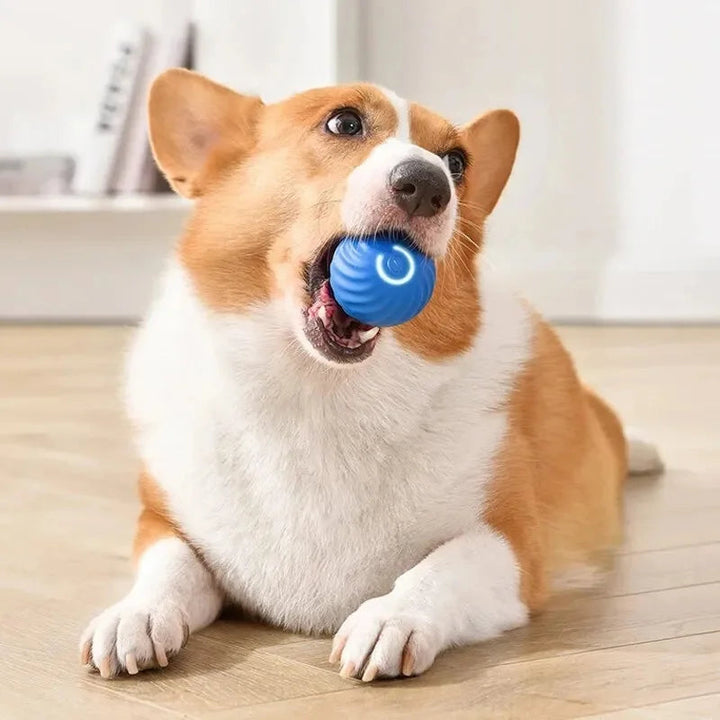 Interactive Smart Dog Ball | Automatic Rechargeable Toy | Interactive Training & Play Toy